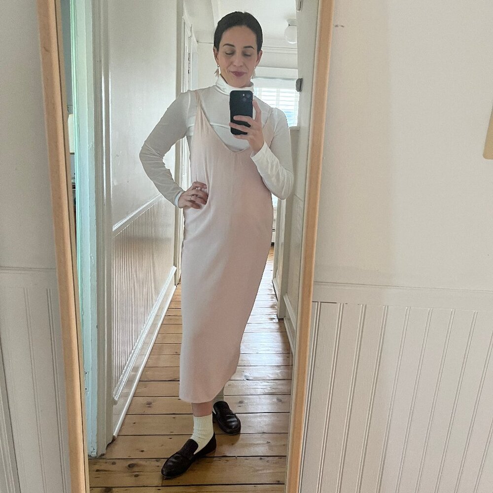 Everlane Japanese Go Weave Slip Dress - Rose Size 0